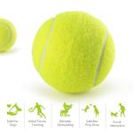 PHOEPET 6-Pack Tennis Balls for Beginner Training Practice- Bulk Dog Balls for Fetch Chew Toys(Neon Yellow)