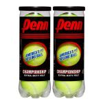 Penn Championship Tennis Balls - Extra Duty Felt Pressurized Tennis Balls - 2 Cans, 6 Balls