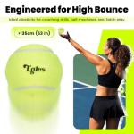 12 Packs Tennis Balls for Training and Pets, High Elasticity Practice Tennis Balls with Mesh Bag for Transport and Beginner Exercise, Durable Dog Playing Ball Set Multi-Pack Colored Balls Yellow