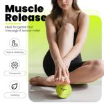 12 Packs Tennis Balls for Training and Pets, High Elasticity Practice Tennis Balls with Mesh Bag for Transport and Beginner Exercise, Durable Dog Playing Ball Set Multi-Pack Colored Balls Yellow