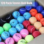 Magicorange Tennis Balls, 120 Pack Advanced Training Tennis Balls Practice Balls, Pet Dog Playing Balls, Come with Mesh Bag for Easy Transport, Good for Beginner Training Ball (Colorful)