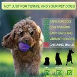 Insum 12-Pack Advanced Training Tennis Balls for Beginner Practice, Pet Dog Tennis Balls with Mesh Bag for Easy Carry