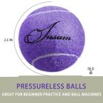 Insum 12-Pack Advanced Training Tennis Balls for Beginner Practice, Pet Dog Tennis Balls with Mesh Bag for Easy Carry