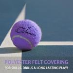 Insum 12-Pack Advanced Training Tennis Balls for Beginner Practice, Pet Dog Tennis Balls with Mesh Bag for Easy Carry