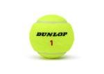 Dunlop Sports ATP Championship Regular Duty Tennis Balls - Case of 24 cans (72 Balls)