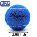 Magicorange Tennis Balls, 12 Pack Advanced Training Tennis Balls Practice Balls, Pet Dog Playing Balls, Come with Mesh Bag for Easy Transport, Good for Beginner Training Ball (Blue)