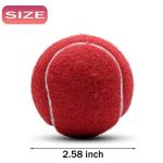 Magicorange Tennis Balls, 12 Pack Advanced Training Tennis Balls Practice Balls, Pet Dog Playing Balls, Come with Mesh Bag for Easy Transport, Good for Beginner Training Ball (Red)