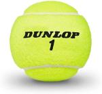 Dunlop Sports ATP Championship Extra Duty Tennis Balls, 12 x 3-Ball cans, Yellow