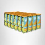 Wilson Profile All Court Tennis Balls - Yellow, 24 Can Case (72 Balls)