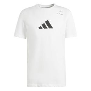 Adidas Men's Tennis Category Graphic T-Shirt, White, Small