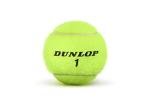 Dunlop Sports ATP Championship Extra Duty Tennis Balls - Case of 24 cans (72 Balls)