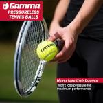 GAMMA Sports Pressureless Tennis Balls Box, Bulk Tennis Balls, Premium Tennis Accessories, 75 Balls, Tennis Practice, Tennis Training, Pet Toys, Dog Ball, Coach, Indoor & Outdoor Play