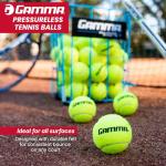 GAMMA Sports Pressureless Tennis Balls Box, Bulk Tennis Balls, Premium Tennis Accessories, 75 Balls, Tennis Practice, Tennis Training, Pet Toys, Dog Ball, Coach, Indoor & Outdoor Play