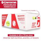 GAMMA Sports Pressureless Tennis Balls Box, Bulk Tennis Balls, Premium Tennis Accessories, 75 Balls, Tennis Practice, Tennis Training, Pet Toys, Dog Ball, Coach, Indoor & Outdoor Play
