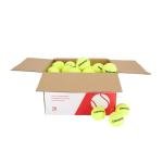 GAMMA Sports Pressureless Tennis Balls Box, Bulk Tennis Balls, Premium Tennis Accessories, 75 Balls, Tennis Practice, Tennis Training, Pet Toys, Dog Ball, Coach, Indoor & Outdoor Play