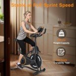 Maicifi Stationary Exercise Bike for Home Indoor Cycling Exercise Equipment with Adjustable Resistance Comfortable Seat Smartphone Holder Sleek Design for Home Gym Cardio Workout Training