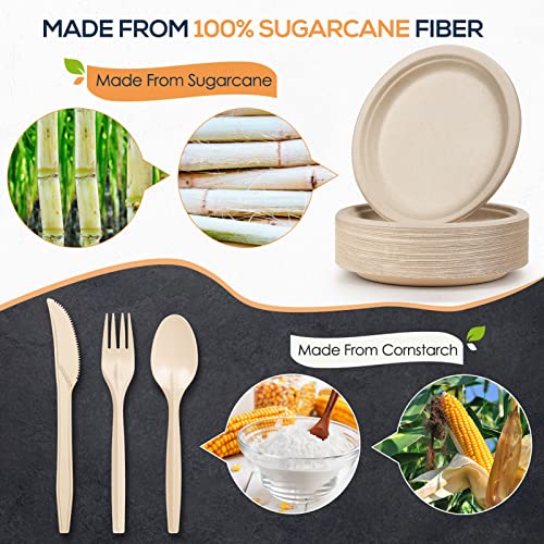 250Pcs Biodegradable Dinnerware Set for Birthday Parties or Camping