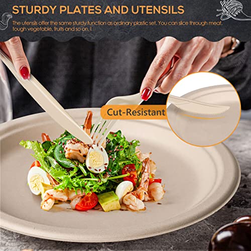 250Pcs Biodegradable Dinnerware Set for Birthday Parties or Camping