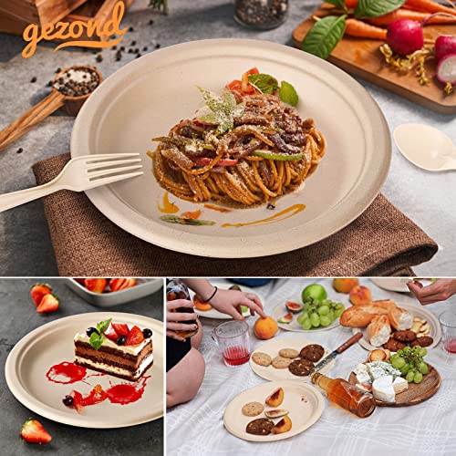 250Pcs Biodegradable Dinnerware Set for Birthday Parties or Camping