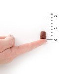 Garden of Life Organics Kids Gummy Vitamins, Certified Organic, Non-GMO & Vegan Complete Children's - B12, C & D3 Gluten, Soy & Dairy Free Real Fruit Chew Gummies, Multi, Cherry, 120 Count