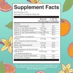 MaryRuth Organics Multivitamin for Infants | USDA Organic | Multivitamin Liquid Drops for Babies 6-12 Months | Immune Support & Overall Wellness | Vegan | Non-GMO | Gluten Free | 2 Fl Oz