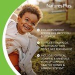 Natures Plus Animal Parade Children's Chewable Multivitamin - 180 Animal-Shaped Tablets, Pack of 2 - Natural Assorted Flavors - Vegan, Gluten Free - 180 Total Servings