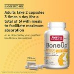 Jarrow Formulas BoneUp for Bone Density and Skeletal Nutrition, Includes Vitamin D3, K2 (as MK-7) and Calcium, 240 Capsules