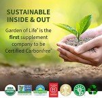 Garden of Life Calcium Supplement - Living Calcium Advanced Formula, D3, K2 and Magnesium for Absorption, 120 Vegetarian Caplets