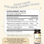 Future Kind Vegan Calcium Supplement - Plant-Based Calcium Magnesium Supplement Sourced from Iceland for Teeth & Bone Support (60 Capsules)