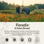 Floradix by Salus Iron & Herbs - Liquid Herbal Supplement for Energy Support - Iron Supplement with Vitamin C & B Complex Vitamins - for Men & Women - 8.5 oz