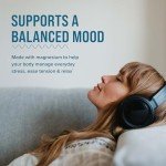 Natural Vitality Calm, Magnesium Supplement, Anti-Stress Drink Mix Powder, Gluten Free, Vegan, & Non-GMO, Original Unflavored, 16 oz