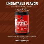 Six Star Whey Protein Powder Plus - Muscle Building & Recovery Formula with Whey Isolate Powder, BCAAs, 30g Protein, Immune Support - Post-Workout Supplement - Triple Chocolate, 1.8 lbs