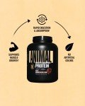 Animal Whey Isolate Protein Powder - Loaded for Pre & Post Workout Muscle Builder and Recovery with Digestive Enzymes for Men & Women - 25g Protein, Great Taste, Low Sugar - Brownie Batter 4 lbs