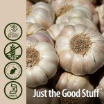 Garlic Extract 1 FL Oz  by Nature's Answer