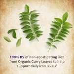 Garden of Life Organics Women’s Prenatal Multivitamin with Vitamin D3, B6, B12, C & Iron, Folate for Energy & Healthy Fetal Development – Organic, Non-GMO, Gluten-Free, Vegan, 30 Day Supply