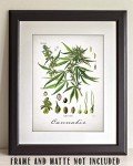Cannabis - 11x14 Unframed Weed Posters Art Print - Cannabis Illustration, Dispensaries Decor and Marijuana Enthusiasts Gift, Makes Great Marijuana Decor and Stoner Decor Gift
