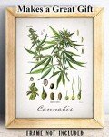 Cannabis - 11x14 Unframed Weed Posters Art Print - Cannabis Illustration, Dispensaries Decor and Marijuana Enthusiasts Gift, Makes Great Marijuana Decor and Stoner Decor Gift