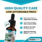 Wanderfound Pets - Hemp Oil for Dogs & Cats 5000mg - Anti-Separation Anxiety, Joint Pain, Stress Relief, Arthritis, Seizures, Chronic Pain Relief, Anti-Inflammatory - Omega 3, 6, 9-100% Organic