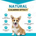 Wanderfound Pets - Hemp Oil for Dogs & Cats 5000mg - Anti-Separation Anxiety, Joint Pain, Stress Relief, Arthritis, Seizures, Chronic Pain Relief, Anti-Inflammatory - Omega 3, 6, 9-100% Organic