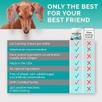 PREMIUM CARE Hemp Calming Chews for Dogs, 9.3 oz (264g), Duck Flavor, Calming Treats for Dogs, Dog Calming Chews, Dog Anxiety Chews, Anti Anxiety Relief, Valerian Root, L-Tryptophan, 120 Soft Chews