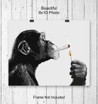 Chimp Smoking Marijuana - Dope Posters Wall Art - Weed Smoking Chimp - Dorm Room Decor - Pothead Cannabis Gifts - Stoner Room Decor - Ganja Chimp Smoking Blunt - 8x10 Poster Art Prints