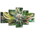Marijuana Wall Art Cannabis Leaves Wall Decor Painting Marijuana Leaf Picture Printed Canvas Plant Poster Painted Framed Living Room Decoration Ready to Hang 5 Piece(60''Wx32''H)