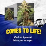Trippy Marijuana Weed Plant 3D Poster Wall Art Decor Print | 11.8 x 15.7 | Lenticular Posters & Pictures | Photo Memorabilia Gift for Guys & Girls Bedroom | Cool Hippie Psychedelic Sativa Pot Leaf Bud
