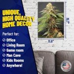 Trippy Marijuana Weed Plant 3D Poster Wall Art Decor Print | 11.8 x 15.7 | Lenticular Posters & Pictures | Photo Memorabilia Gift for Guys & Girls Bedroom | Cool Hippie Psychedelic Sativa Pot Leaf Bud
