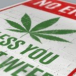 No Entry Unless You Brought Weed, Wall Art Poster 8x12 inch