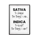 Sativa to Change The Things I Can Indica to Accept The Things I Can't 5" x 7" UNFRAMED Print Home Décor, Quote Wall Art