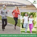 Hemp Cream | Muscle & Joints Soothing Relief Cream | Intensive Natural High Strength Formulation Hemp Extract | MSM, Arnica & Menthol | Discomfort in Feet, Knees, Back, Neck, Shoulders