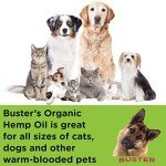 Buster's Large 60ml Bottles, 4mth Supply, Organic Hemp Oil for Dogs and Pets, 555,000 Max Potency, Made in USA - Miracle Formula, Balanced Omega 3, 6, 9 - Joint Relief, Calming (2Pack)
