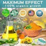 NEVISS (2 Pack) Organic Hémp Balm 10000 MG - 2 Fl Oz