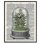 Marijuana Decor - Weed Smoking Gifts - Dope Wall Decor - Cannabis Wall Art - Pothead Gifts - Stoner Room Decoration - Pot Smoker Pricture - Weed Posters - Smoking Marijuana Poster - 8x10 Ganja